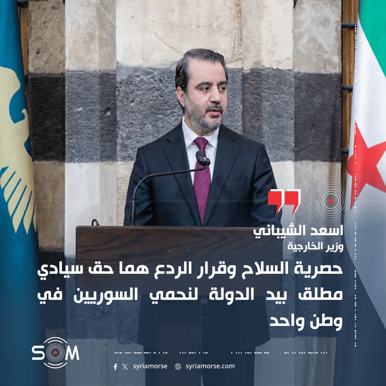الشيباني: حصرية السلاح بيد الدولة ومفاوضات لانهاء الاعتداءات الاسرائيلية