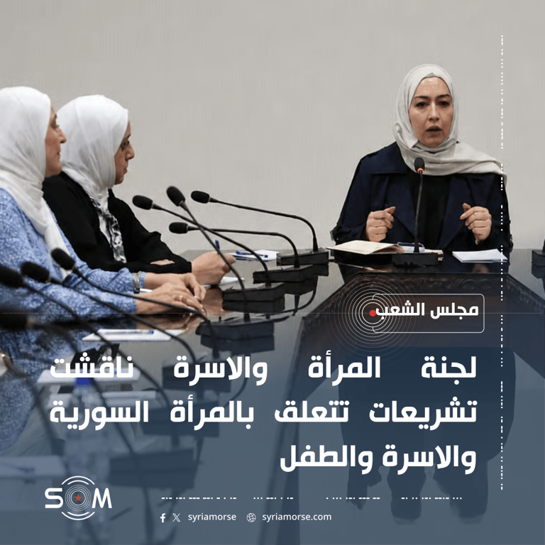 لجنة المرأة والاسرة في مجلس الشعب تناقش تشريعات تخص المرأة والطفل