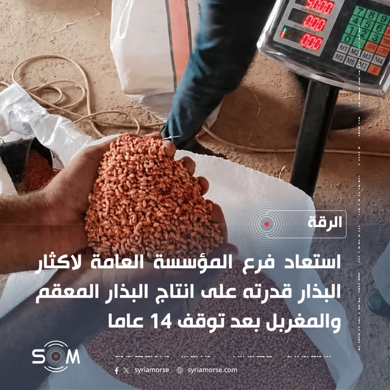 استئناف إنتاج البذار المعقم والمغربل في فرع اكثار البذار بالرقة