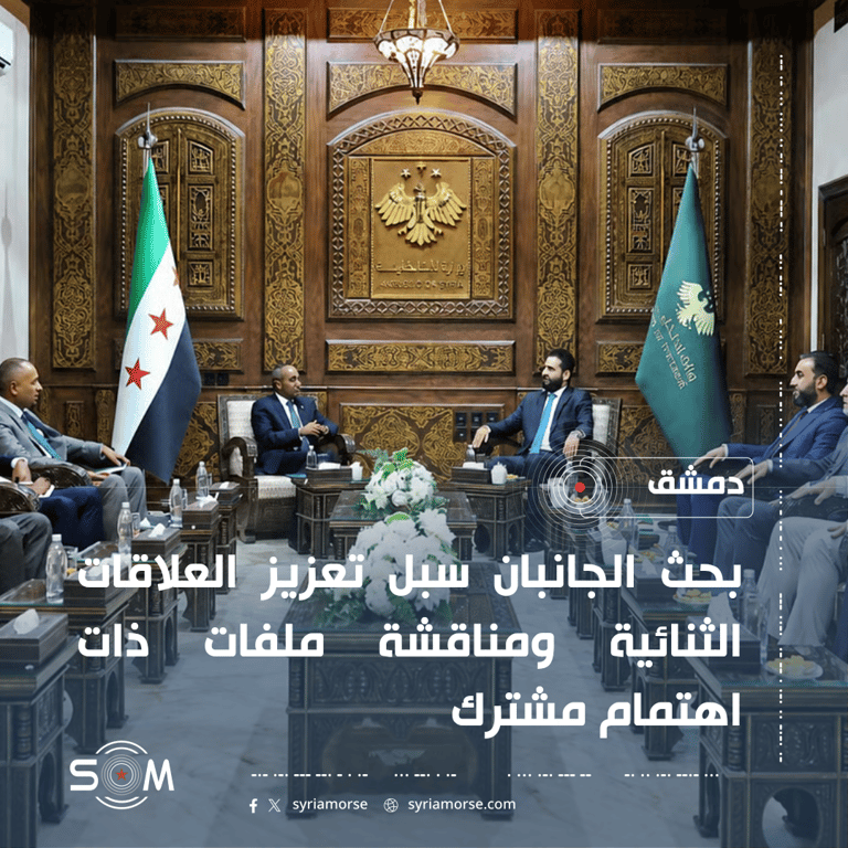 وزير الداخلية يبحث مع سفير الصومال بدمشق تعزيز العلاقات الثنائية