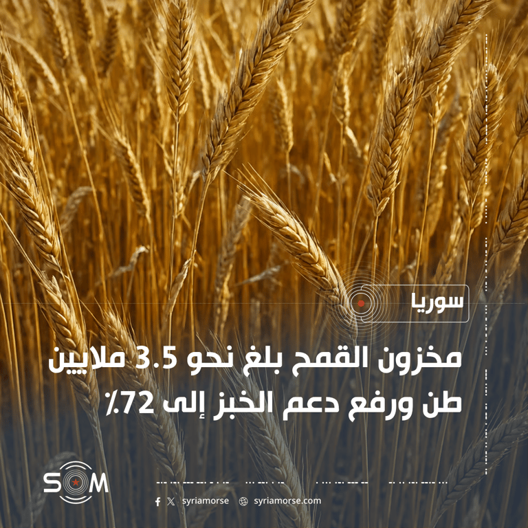 معاون وزير الاقتصاد يعرض ارقام القمح ودعم الخبز وخطط المطاحن