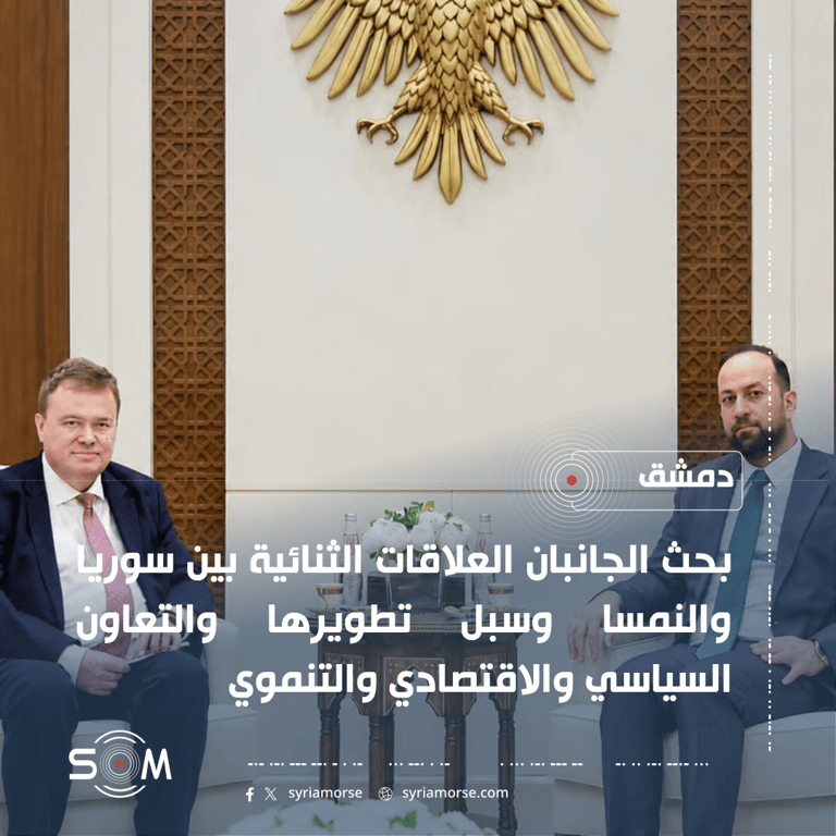 حمزة المصطفى يبحث مع القائم باعمال السفارة النمساوية بدمشق العلاقات الثنائية والتعاون المشترك