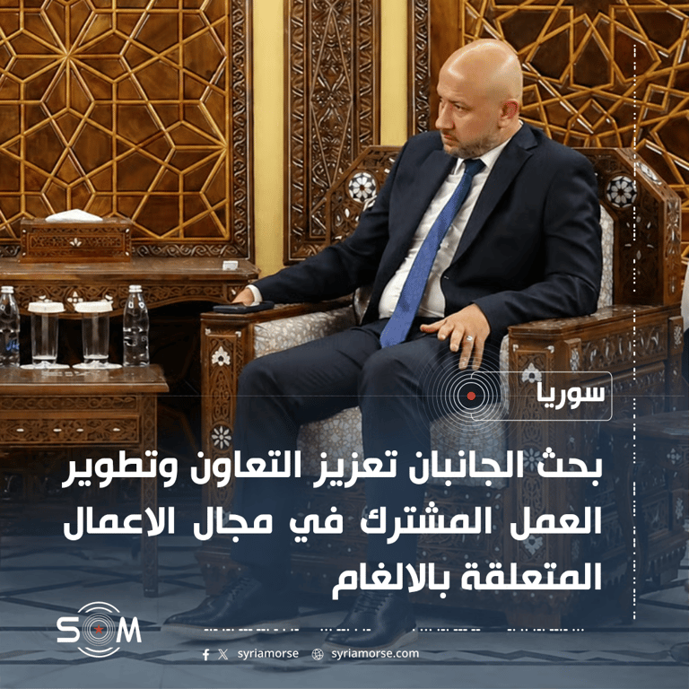 رائد الصالح يبحث مع UNMAS تعزيز التعاون في الاعمال المتعلقة بالالغام بسوريا