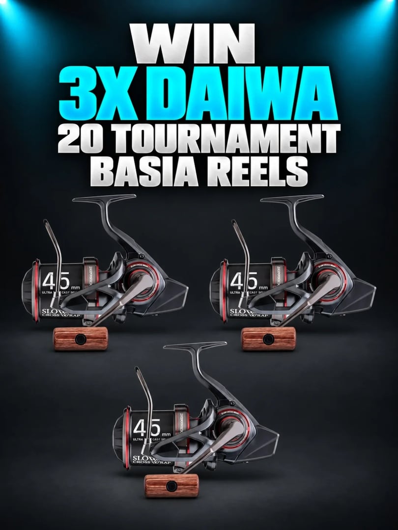 DAIWA BASIA INSTANT WINS