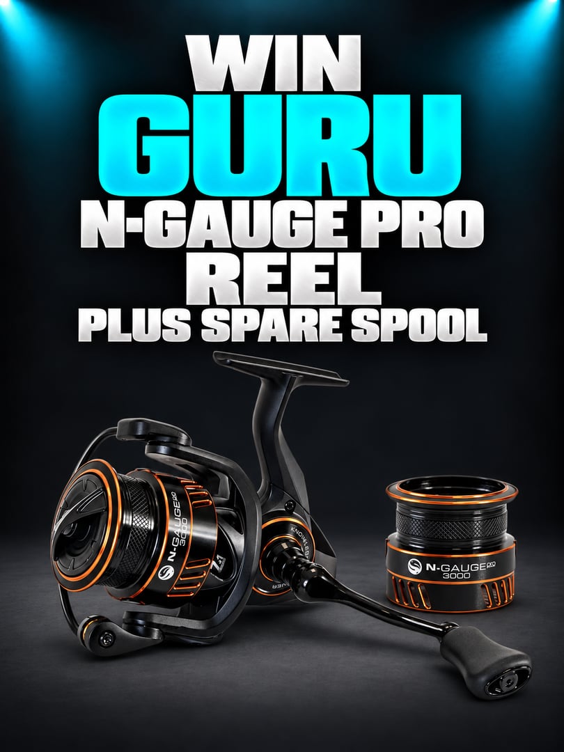 GURU N-GAUGE PRO REEL ANY SIZE PLUS SPARE SPOOL