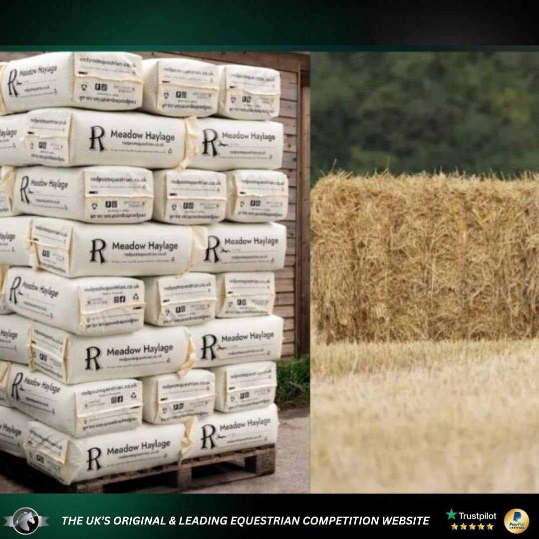 Quick Quirky - 20 Haylage/Cash Tickets #1 ‹ Equine Giveaways