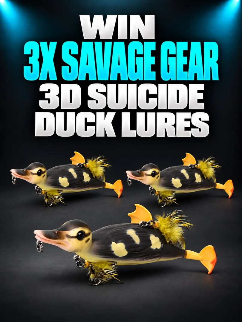 3X SAVAGE GEAR 3D SUICIDE DUCK LURES