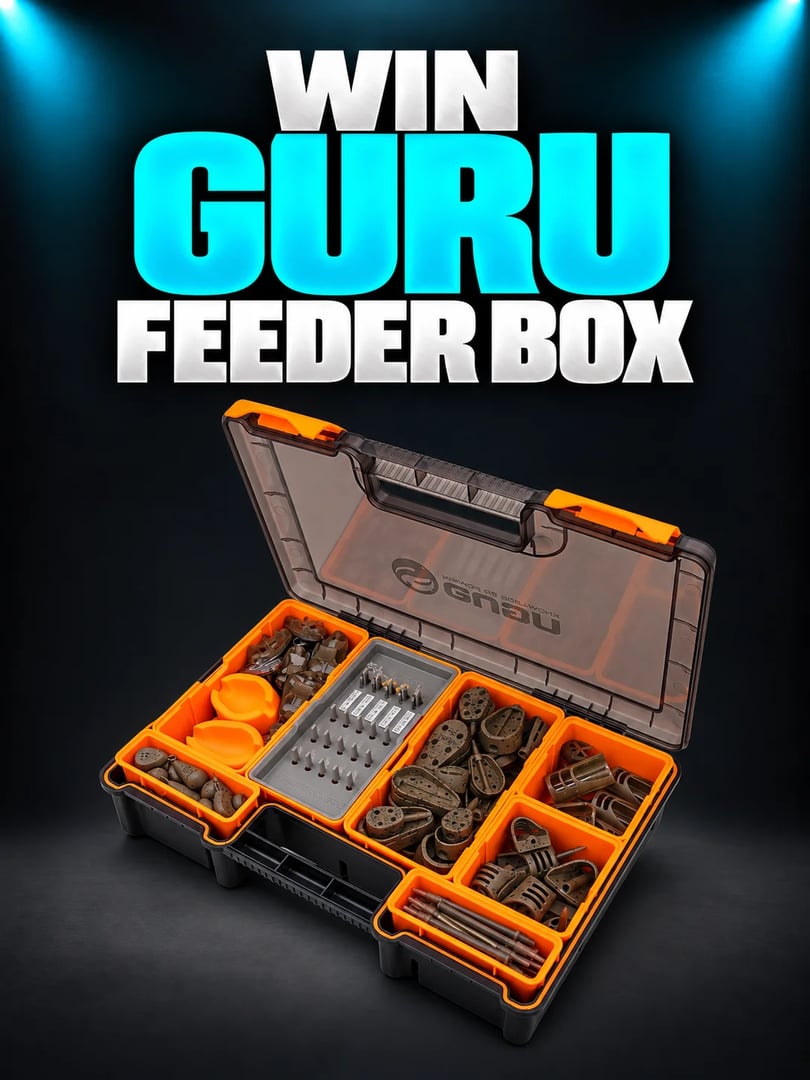 GURU FEEDER BOX