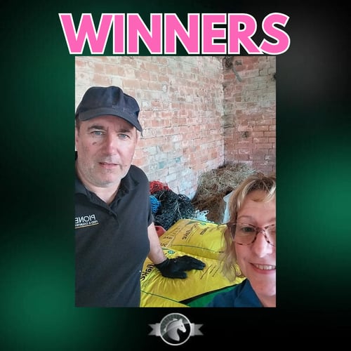 Win a Pallet of Bedding Today with Equine Giveaways