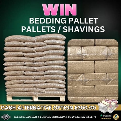 Win a Pallet of Bedding Today with Equine Giveaways