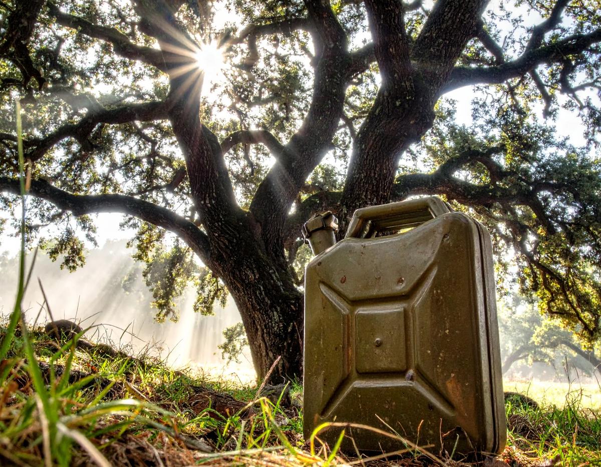 Jerry Can beside oak tree - engineered for reliability