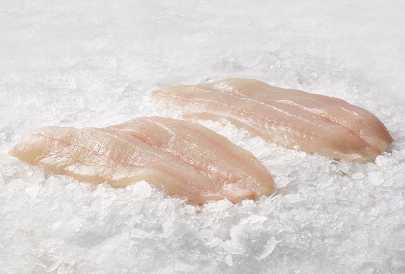 Sole Fillet