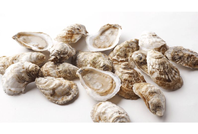 Oyster (By the Jar)