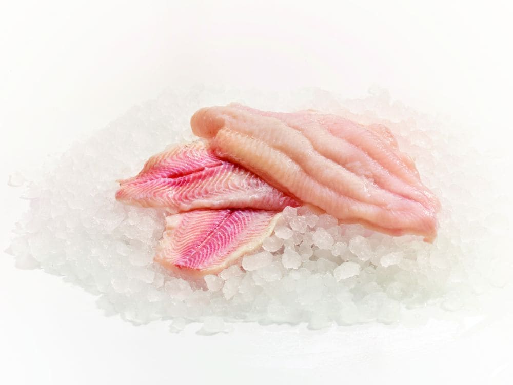 Catfish Steak