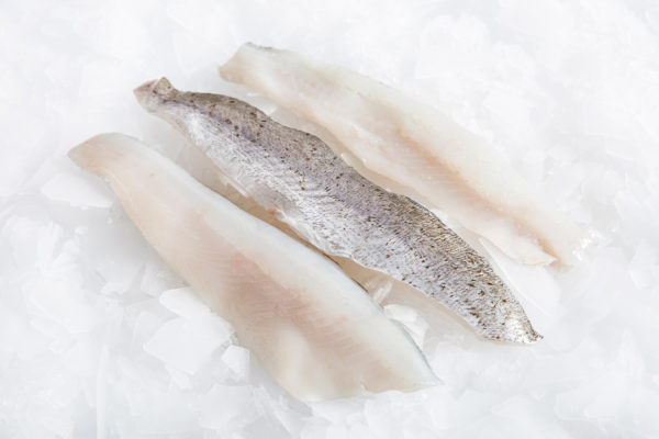 Whiting Fillet