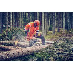 Obrázek #2 k produktu Husqvarna 560 XP® Mark II 