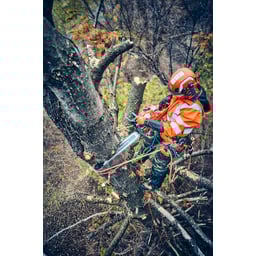 Obrázek #3 k produktu Husqvarna 560 XP® Mark II 