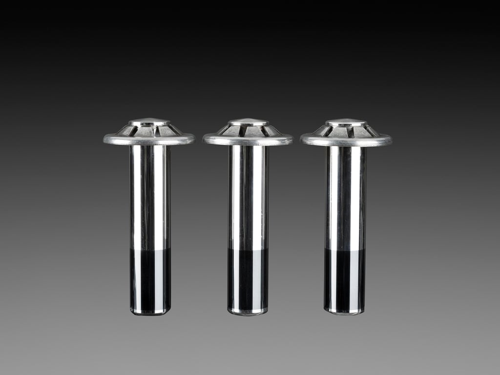 Prodloužená životnost