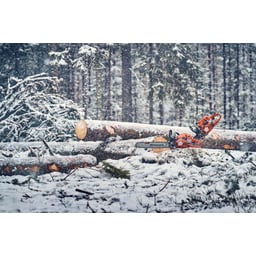 Obrázek #0 k produktu Husqvarna 560 XP® G Mark II 