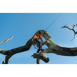 Obrázek #7 k produktu Husqvarna T540i XP G bez akumulátoru a nabíječky 