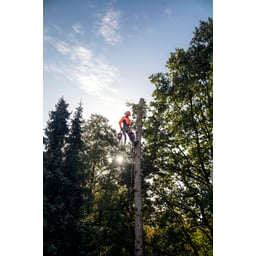 Obrázek #3 k produktu Klín Arborist 4" 