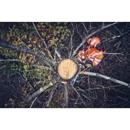 Obrázek #2 k produktu Husqvarna 562 XP® Mark II 