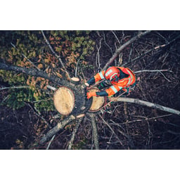 Obrázek #1 k produktu Klín Arborist 4" 