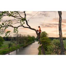 Obrázek #2 k produktu Husqvarna T540 XP® Mark III 