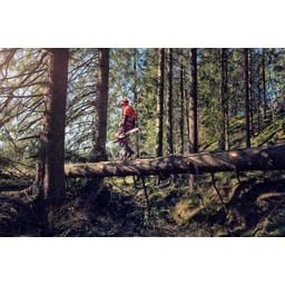 Obrázek #0 k produktu HUSQVARNA 572 XP® 