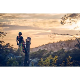 Obrázek #0 k produktu Klín Arborist 4" 