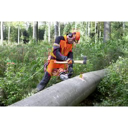 Obrázek #1 k produktu Klín kácecí 8" 