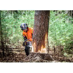 Obrázek #4 k produktu Pilový řetěz X-CUT C85 Chisel  3/8” / 1,5 mm / 56 čl. 