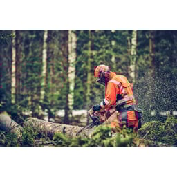 Obrázek #1 k produktu Husqvarna 560 XP® Mark II 