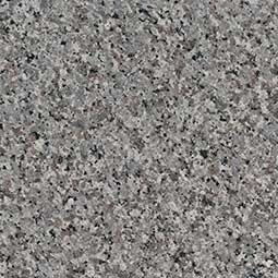 Swan Gray