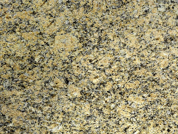 New Venetian Gold