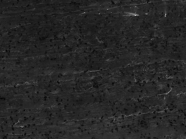 Black Meteorite