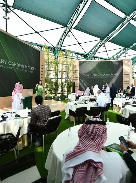 The world's largest carbon credit auction			