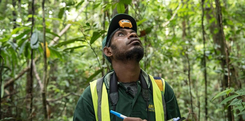 إنشاء سوق كربون موثوقة في إفريقيا