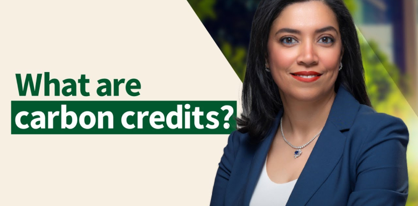 استكشاف عالم أرصدة الكربون مع الرئيس التنفيذي لشركة RVCMC، ريهام الجيزي | الحلقة 1