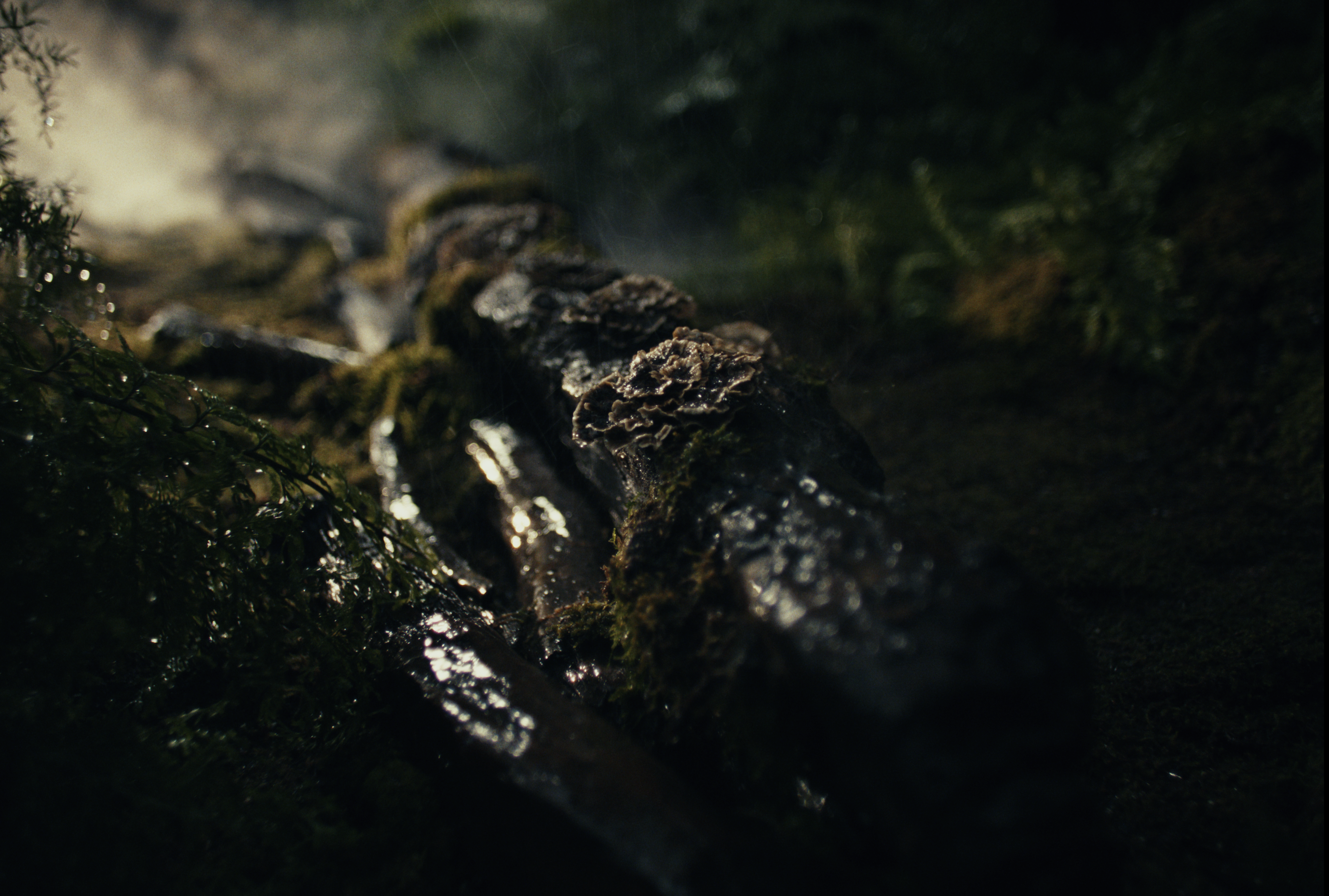 Screenshot 2025-10-23 at 1.54.10 PM.png