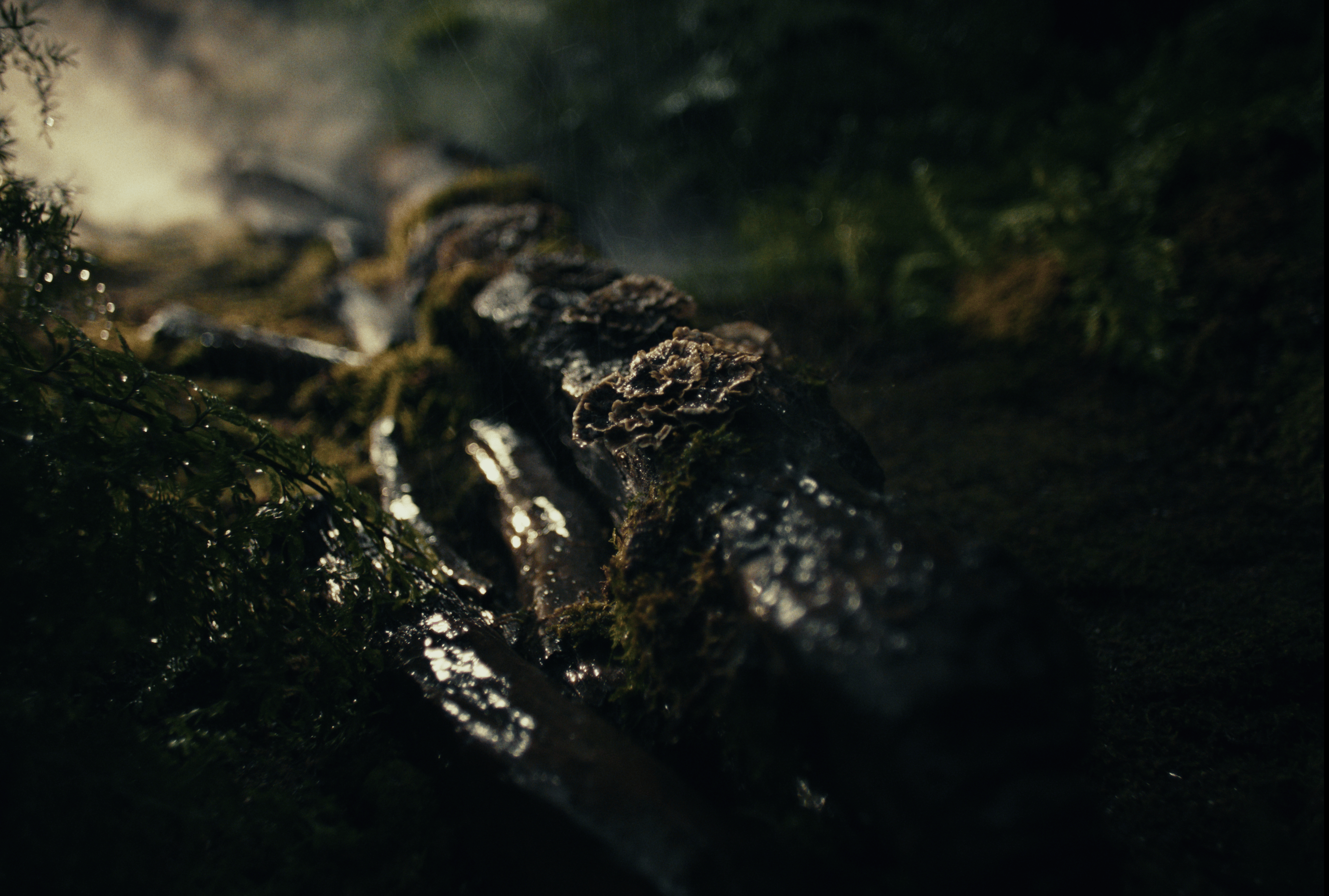 Screenshot 2025-10-23 at 1.54.10 PM.png