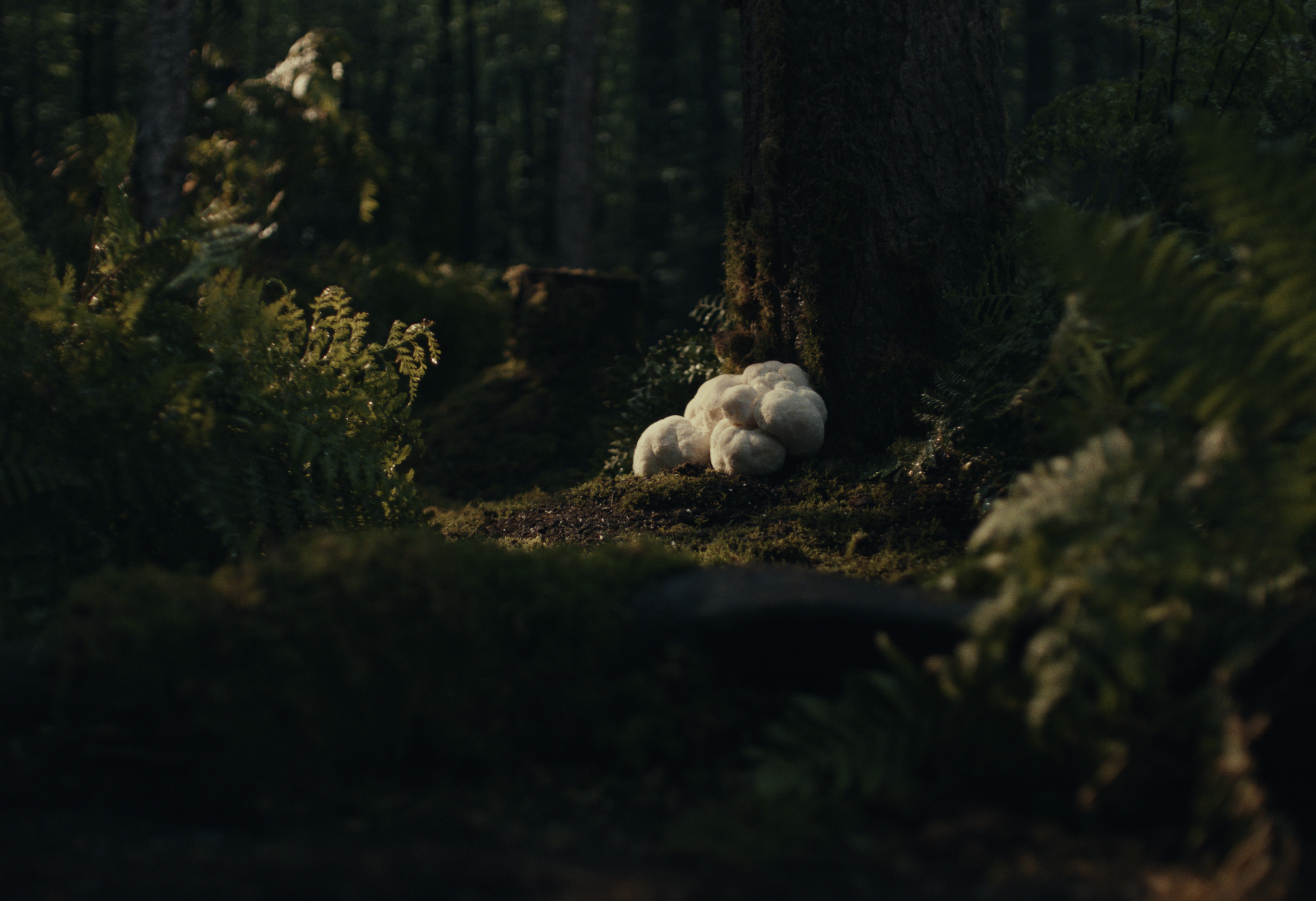 Screenshot 2025-10-23 at 1.52.38 PM.png