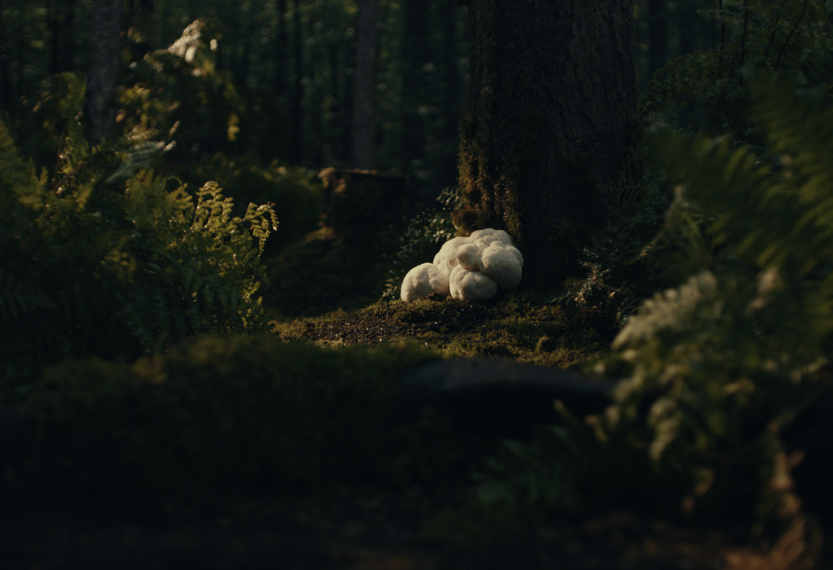 Screenshot 2025-10-23 at 1.52.38 PM.png