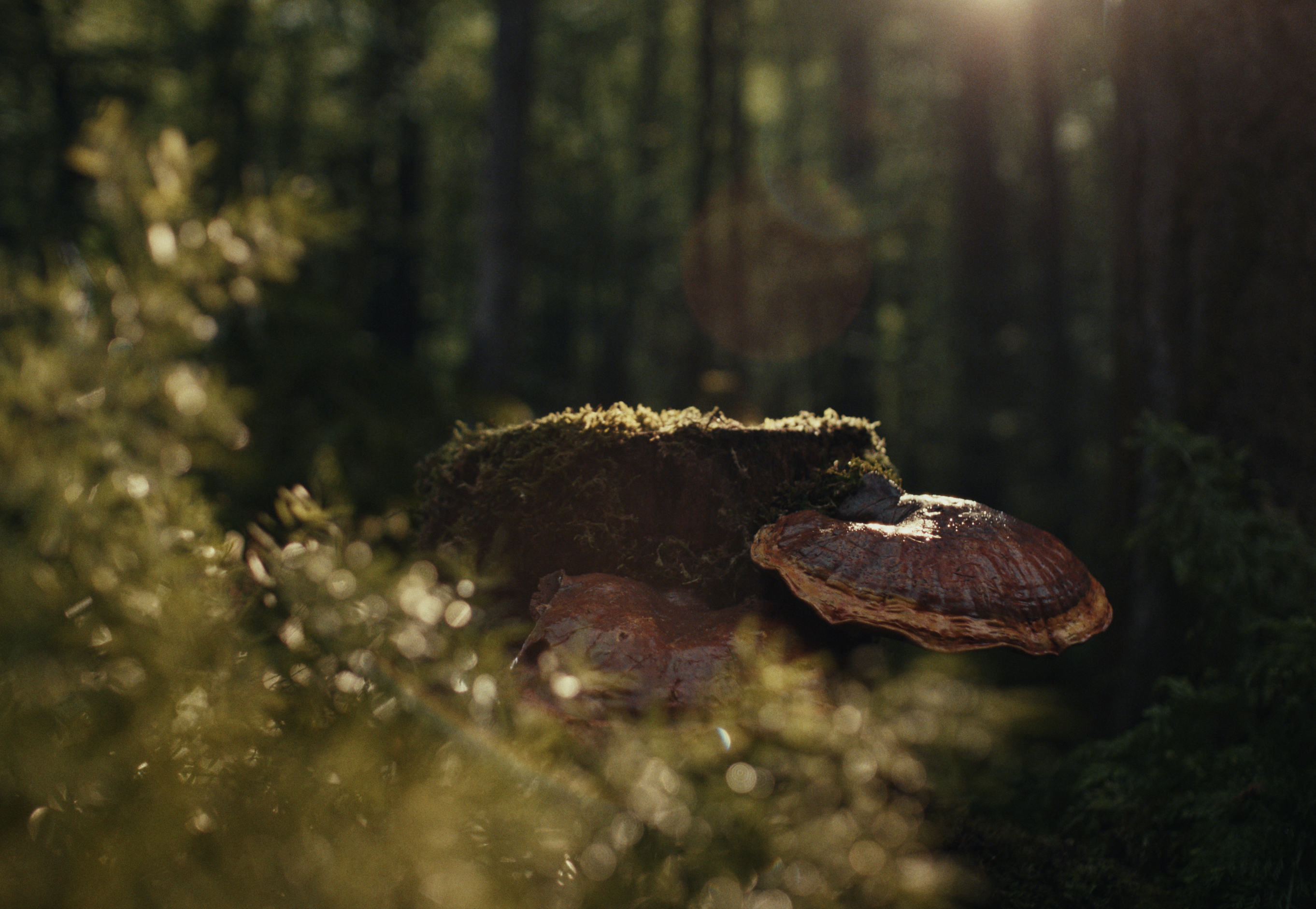 Screenshot 2025-10-23 at 1.53.35 PM.png