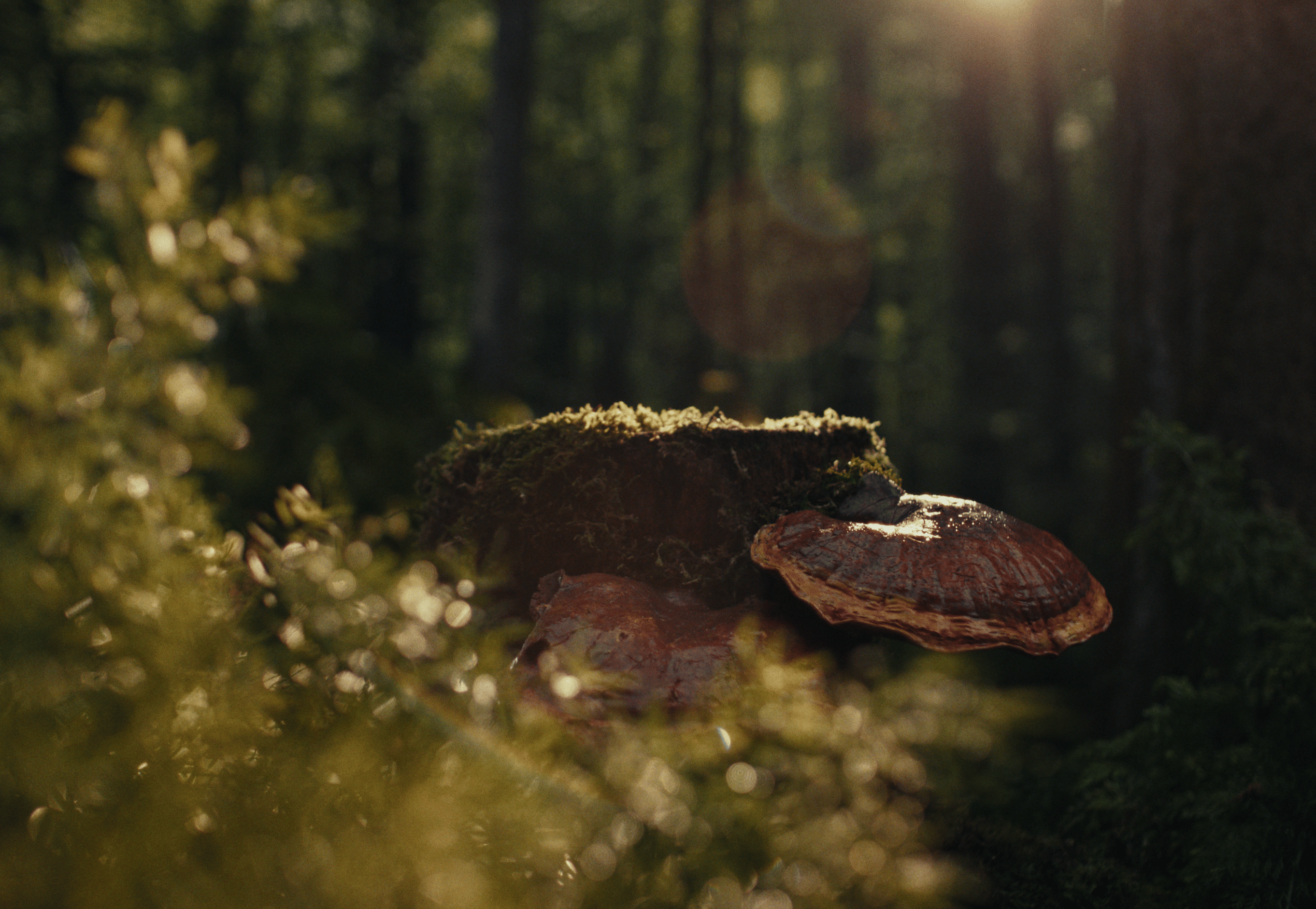 Screenshot 2025-10-23 at 1.53.35 PM.png