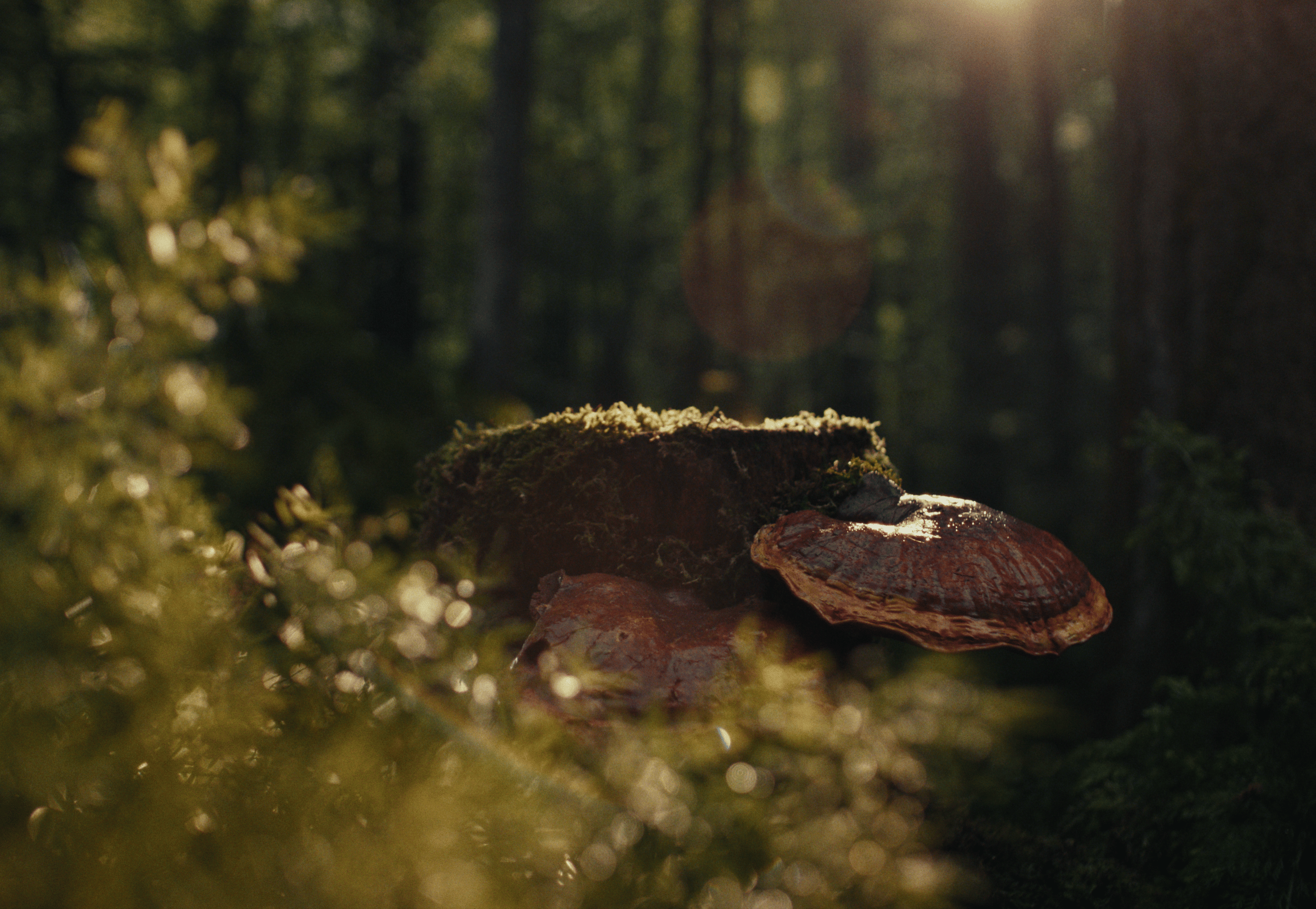 Screenshot 2025-10-23 at 1.53.35 PM.png