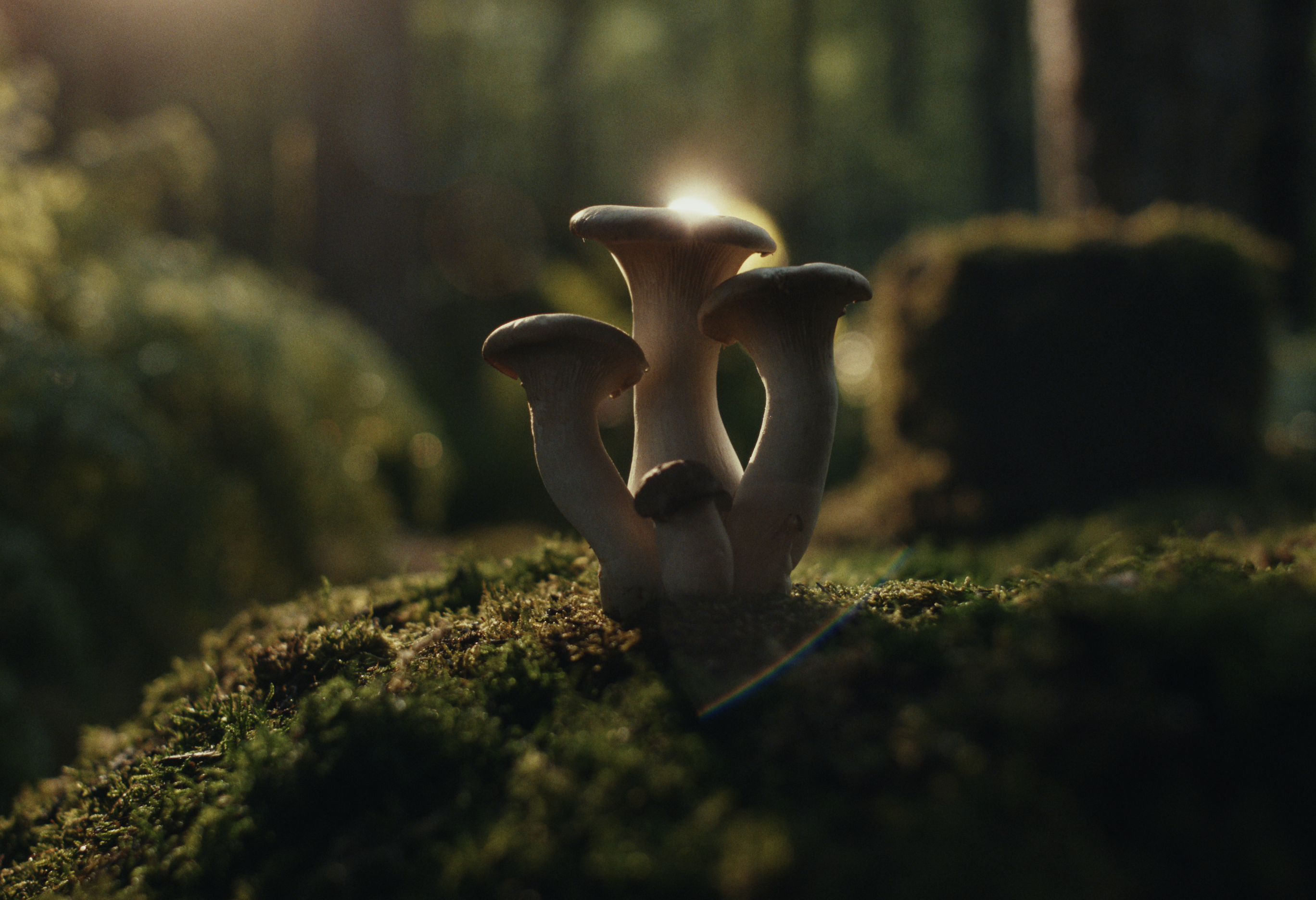 Screenshot 2025-10-23 at 1.53.41 PM.png