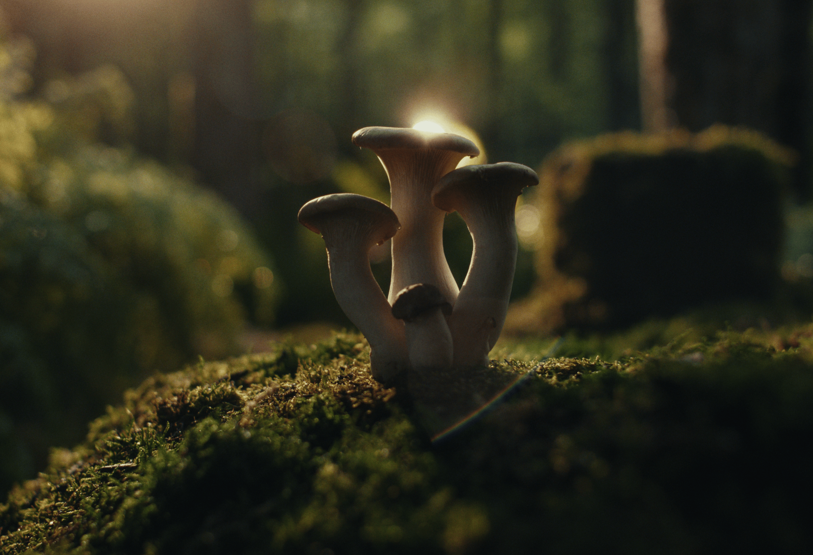 Screenshot 2025-10-23 at 1.53.41 PM.png