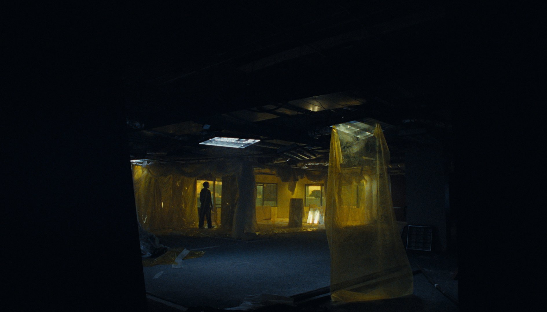 lightfield_beginnersluck_frame_18.JPG