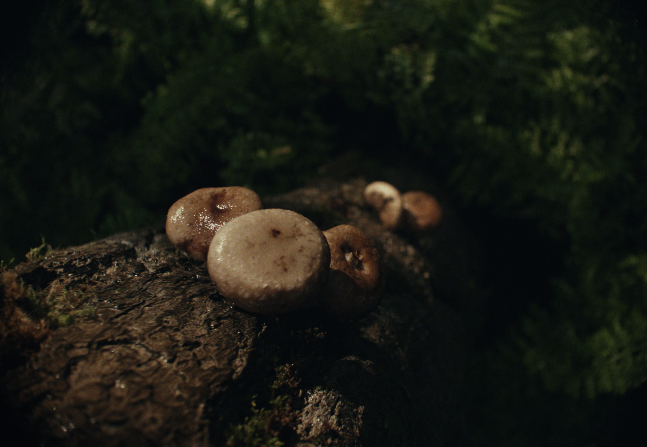 Screenshot 2025-10-23 at 1.53.53 PM.png